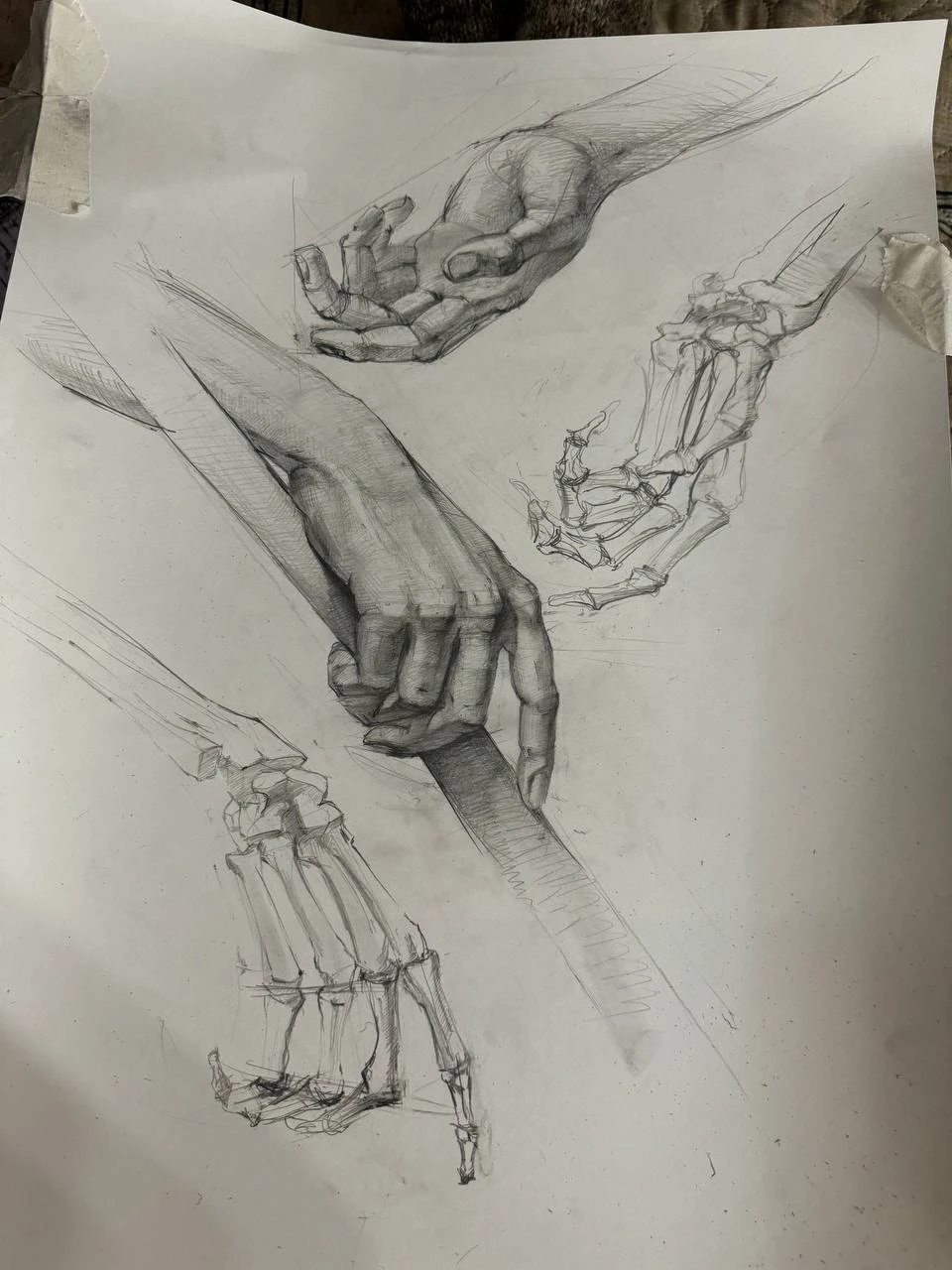 Анатомические рисунки кистей рук карандашом. Работа Евгения Кикина.